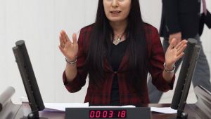 Şanlıurfa Milletvekili Ayşe Sürücü, Sağlık sigortasıyla ilgili kanun teklifi verdi