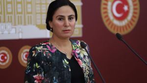 Şanlıurfa Milletvekili Ayşe Sürücü, Cezaevi Şartlarını meclise taşıdı