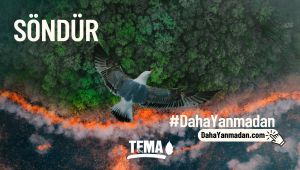 Orman Yangınlarını Önlemek Söndürmekten Daha Kolay  