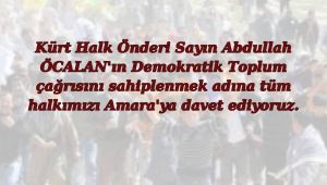 Amara Köyü'nde "Barış ve Demokratik Toplum Buluşmaları" Finali Gerçekleşecek