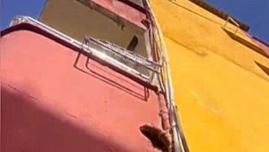 Şırnak’ta 800 Yeraltı Noktasında Kaçak Elektrik Bağlantısı Tespit Edildi