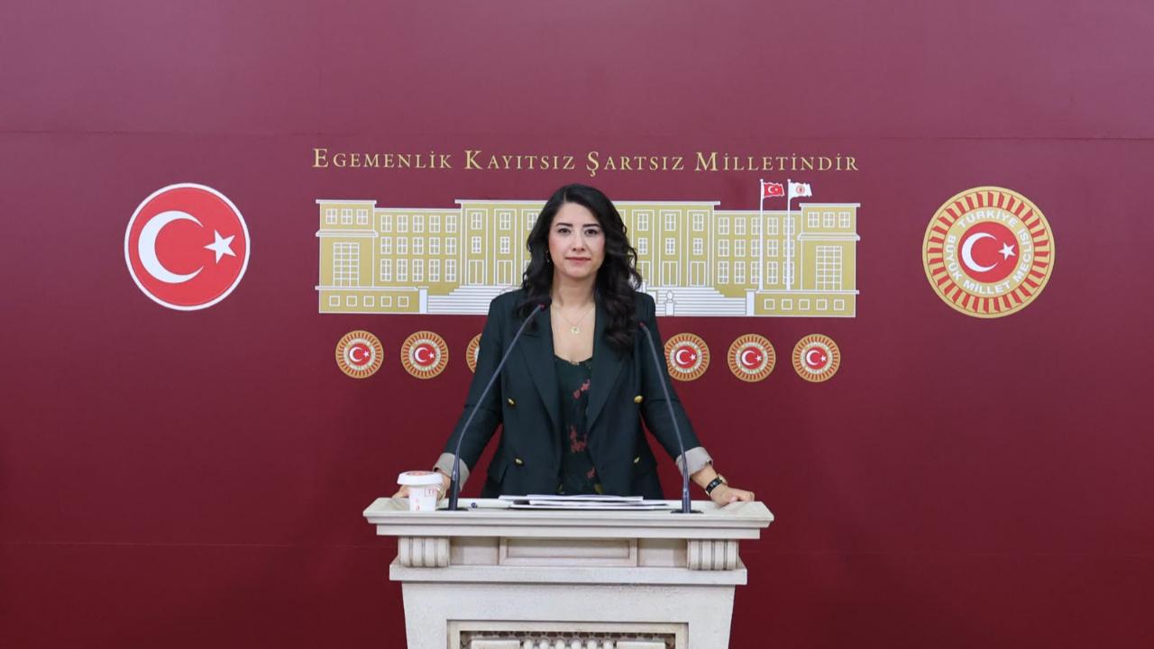 DEM Partili Dilan Kunt Ayan’dan Sağlık Bakanı’na Mehmet Akif İnan Hastanesi Hakkında 13 Soruluk Önerge