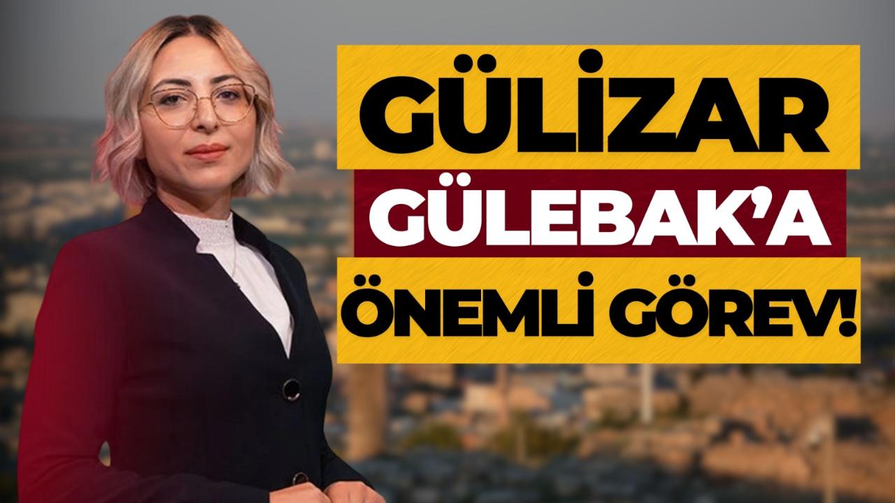 Otomatik Taslak
