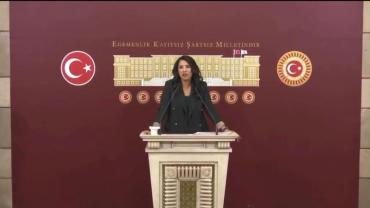 Milletvekili Ayan: “Halfeti Halkı Hizmetsizliğe Mahkûm Edilemez”
