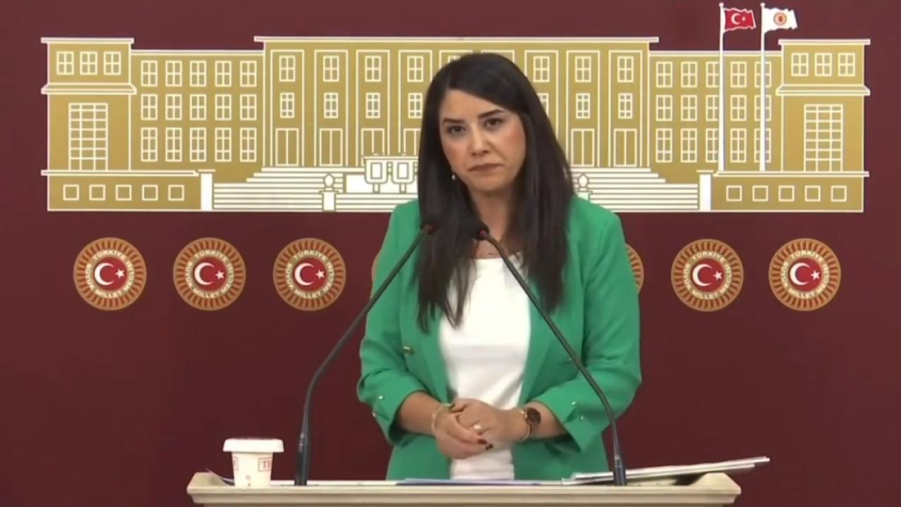 Milletvekili Ayan: “Urfa’da Elektrik ve Su Sorunları Halkı Mağdur Etmeye Devam Ediyor”