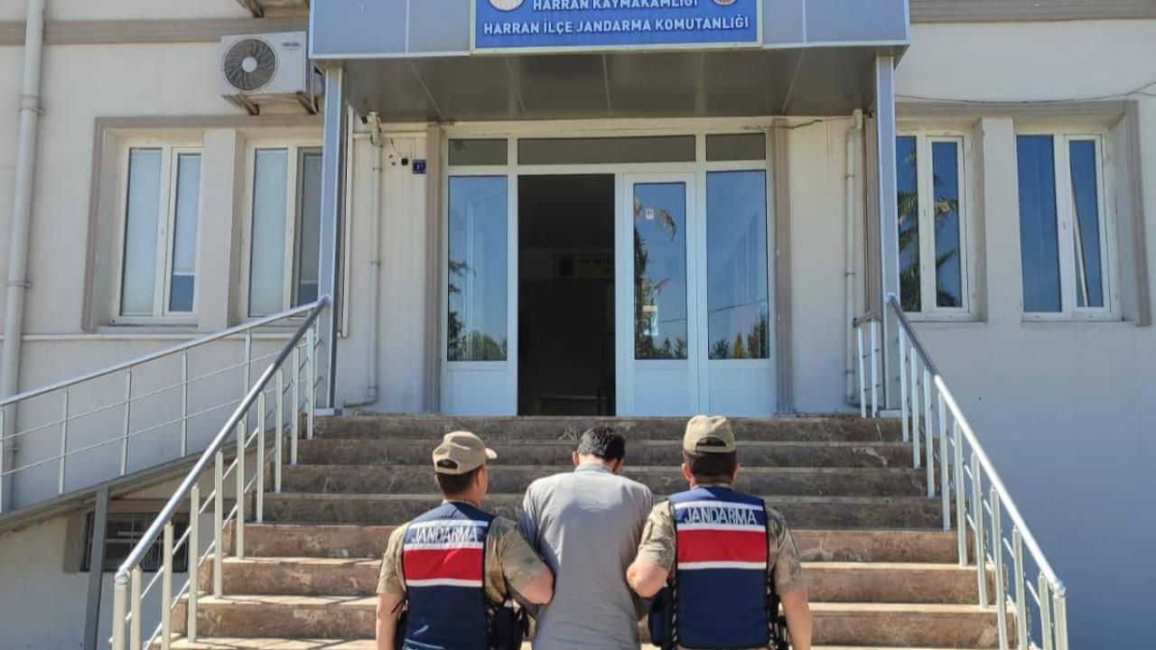 Şanlıurfa'da 11 Aydır Aranan Dolandırıcılık Hükümlüsü Yakalandı