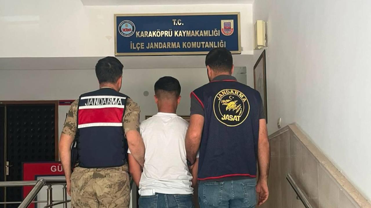Otomatik Taslak