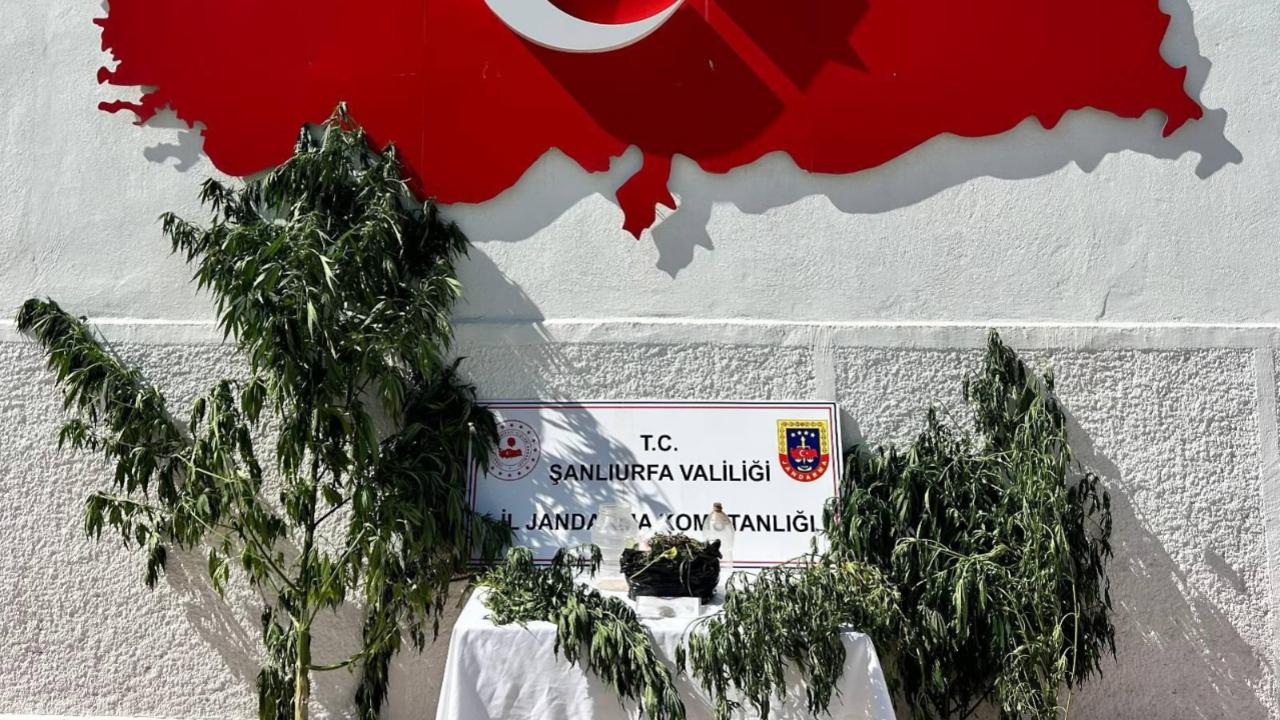 Şanlıurfa'da 8 Yıl 4 Ay Hapis Cezası Bulunan Hükümlü Yakalandı