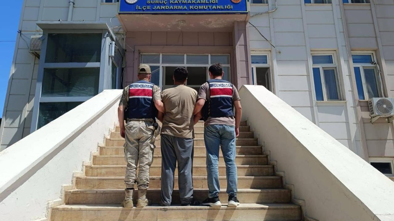 Şanlıurfa'da Dolandırıcılık Suçundan Aranan Hükümlü Yakalandı