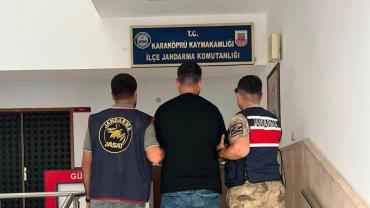 Firari Hükümlü Jandarma Operasyonuyla Yakalandı