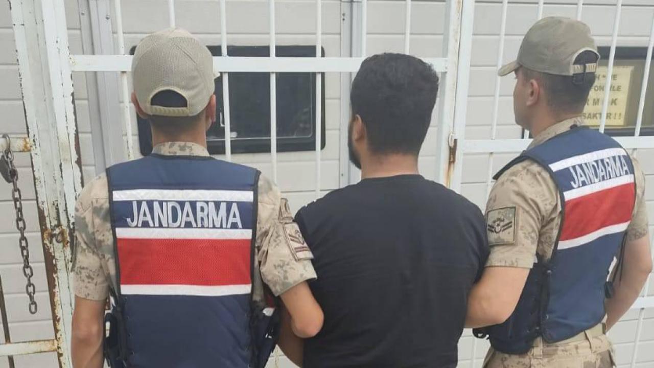 Şanlıurfa'da Hırsızlık Suçundan Aranan Hükümlü Yakalandı