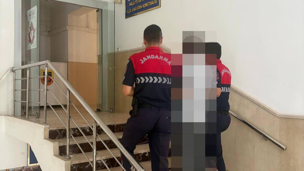 Şanlıurfa'da Hırsızlık Suçundan Aranan Hükümlü Yakalandı