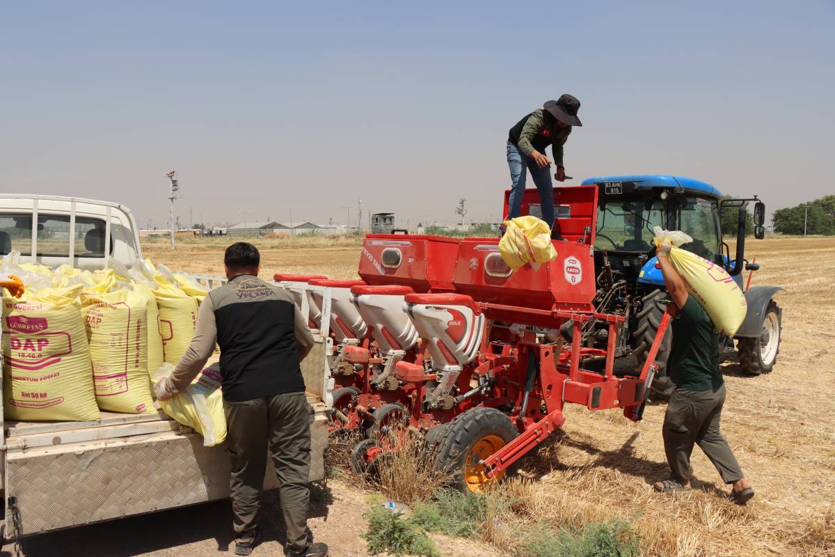 Şanlıurfa’da Anıza Doğrudan Ekim Çalışmaları Genişletildi